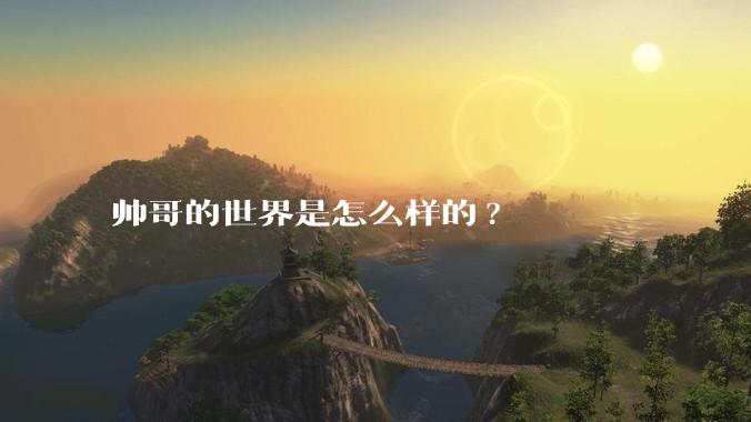 帅哥的世界是怎么样的?