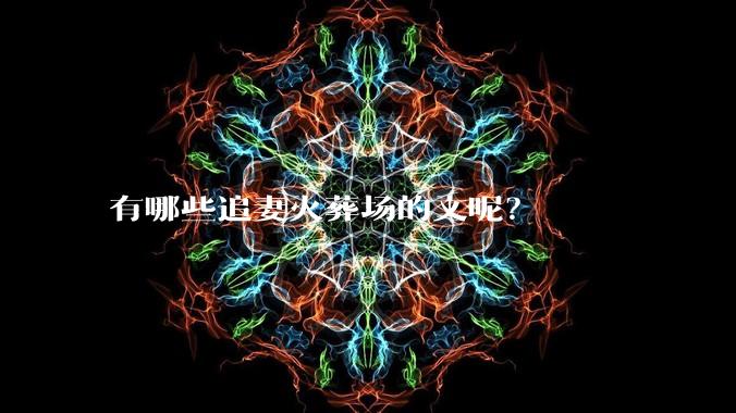 有哪些追妻火葬场的文呢？