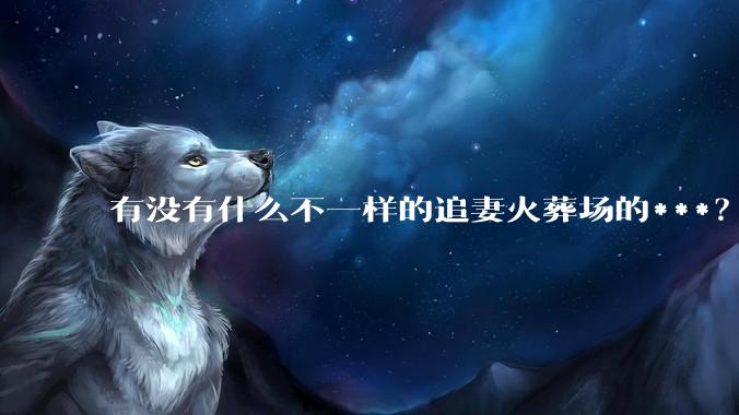 有没有什么不一样的追妻火葬场的***？