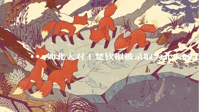 ***如北大对王楚钦拟被录取为北大硕士的社会争议不了了之会怎么样？