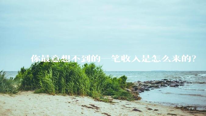 你最意想不到的一笔收入是怎么来的？
