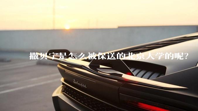撒贝宁是怎么被保送的北京大学的呢？