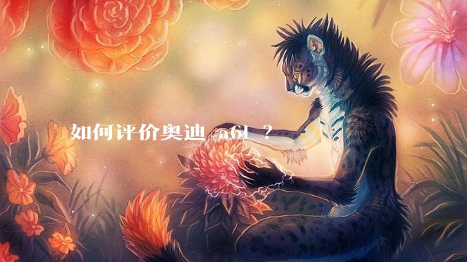 如何评价奥迪 a6l ？