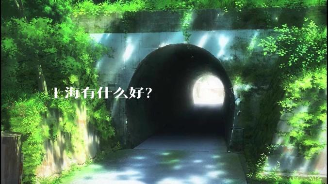 上海有什么好？