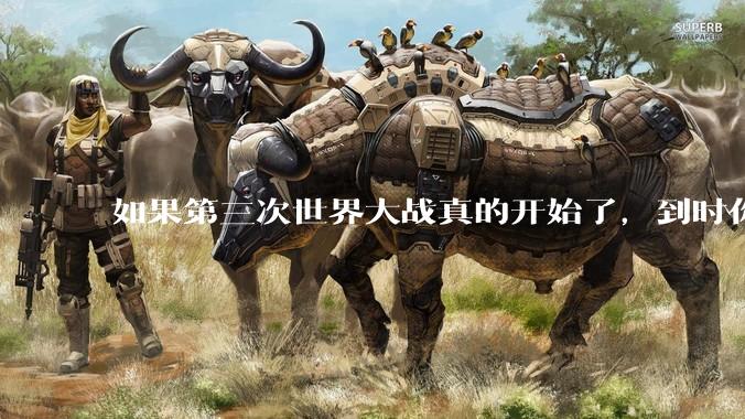 如果第三次世界大战真的开始了，到时你最想做的是什么？