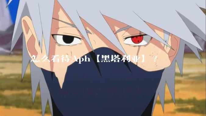 怎么看待Aph【黑塔利亚】?