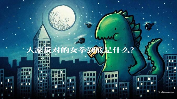 大家反对的女拳到底是什么？