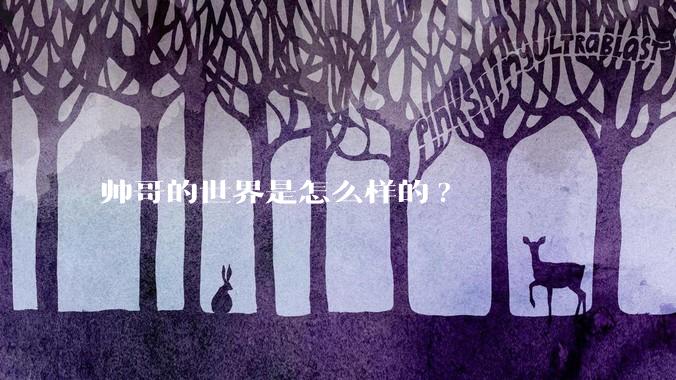 帅哥的世界是怎么样的?