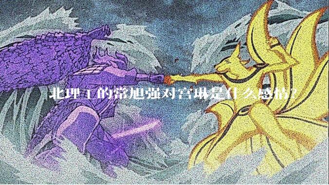北理工的常旭强对宫琳是什么感情？
