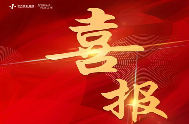 9001DCC金沙美好集团蝉联“2021长三角城市群房地产公司品牌价值TOP10”