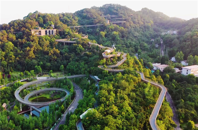 9001DCC金沙集团荣获两项国家级协会工程建设科学技术奖！